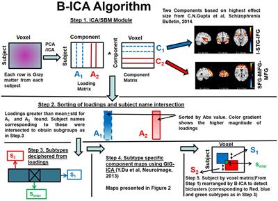 Biclustered Independent Component Analysis for Complex Biomarker and Subtype Identification from Structural Magnetic Resonance Images in Schizophrenia